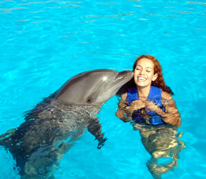 Swim With Dolphins Cabo